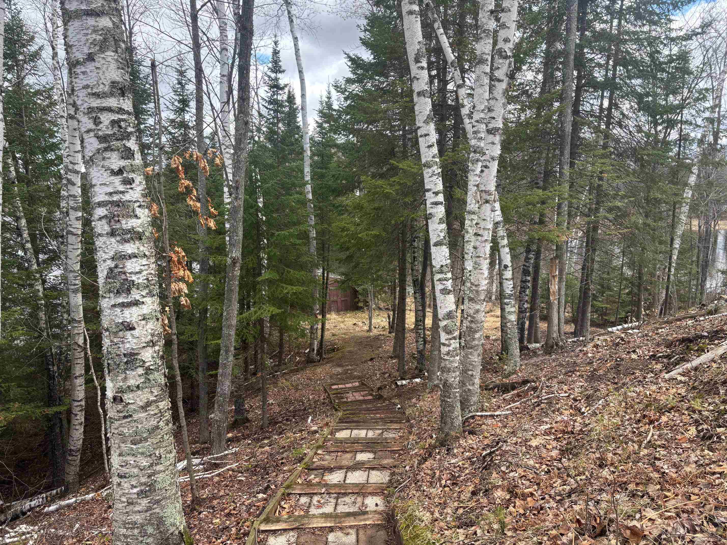 15744 Double B Lane Mountain, WI 54149 - Photo 48 of 70