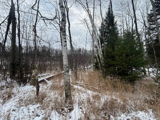 $639,000 | 15744 Double B Lane, Mountain, WI 54149