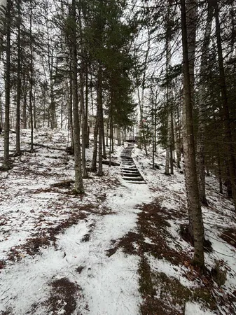 $619,000 | 15744 Double B Lane, Mountain, WI 54149