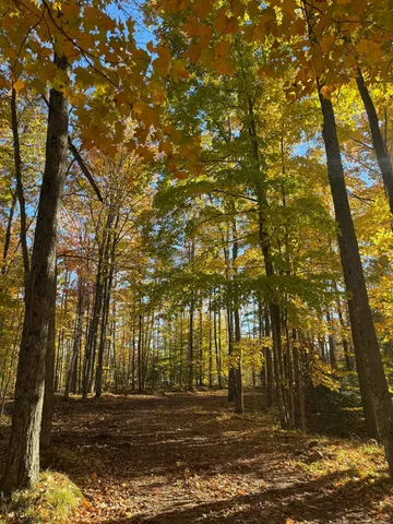 $639,000 | 15744 Double B Lane, Mountain, WI 54149