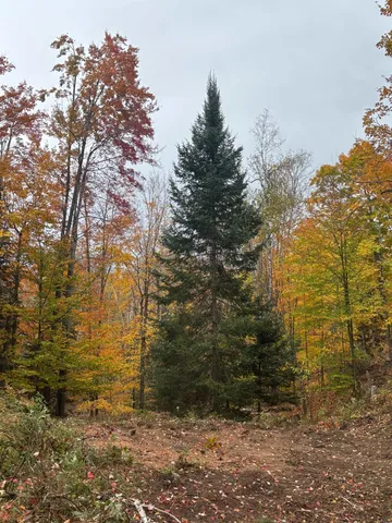 $639,000 | 15744 Double B Lane, Mountain, WI 54149