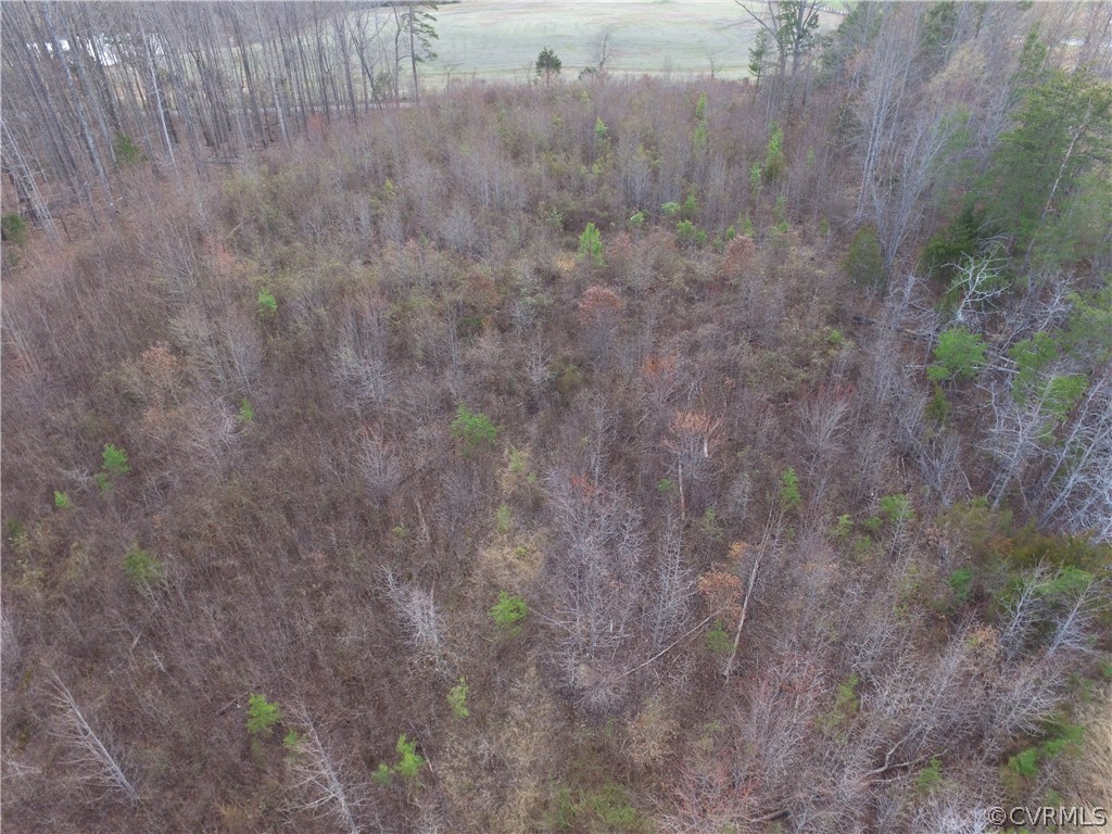 1-acre James Town Road Rice, VA 23966 - Photo 5 of 5 Gallery Image 5
