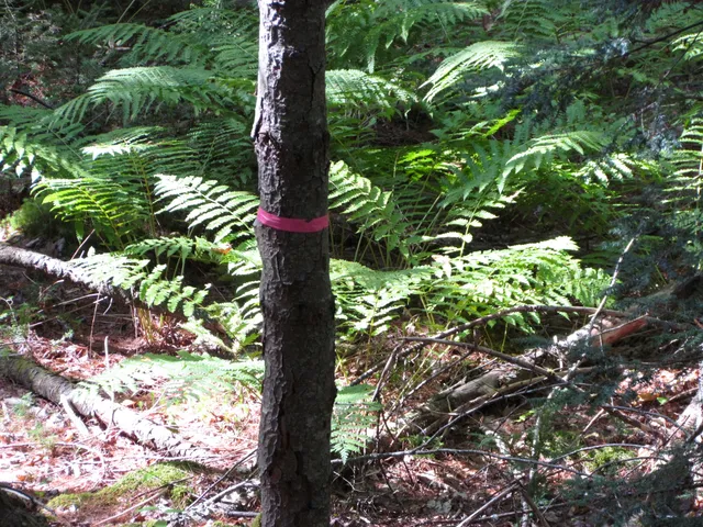 $60,000 | 427 Old County Road, Waldoboro, ME 04572