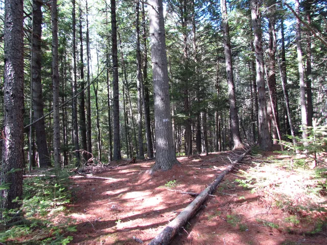 $60,000 | 427 Old County Road, Waldoboro, ME 04572