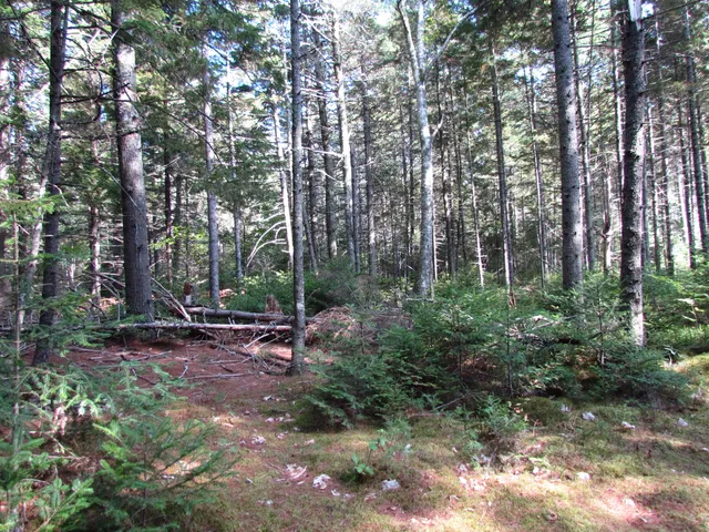$60,000 | 427 Old County Road, Waldoboro, ME 04572