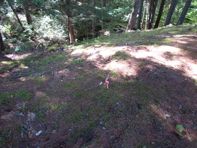 $60,000 | 427 Old County Road, Waldoboro, ME 04572