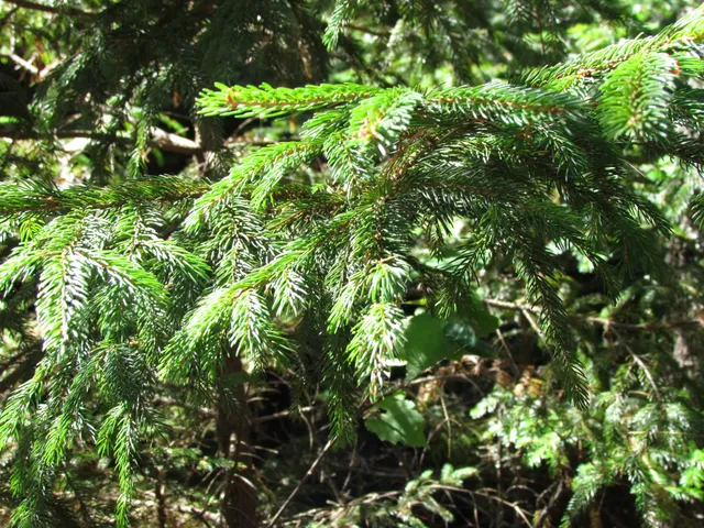 $60,000 | 427 Old County Road, Waldoboro, ME 04572