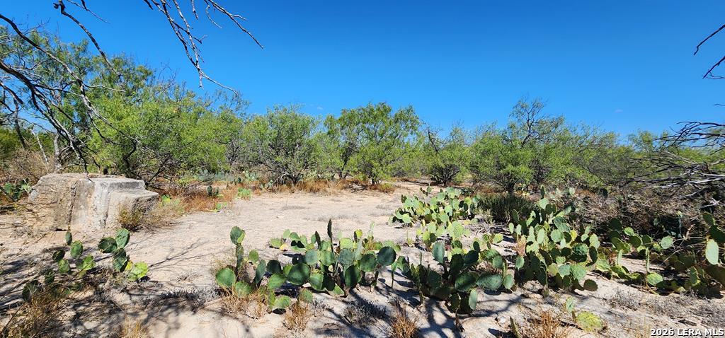 0 Loop 517 Carrizo Springs, TX 78834 - Photo 28 of 30
