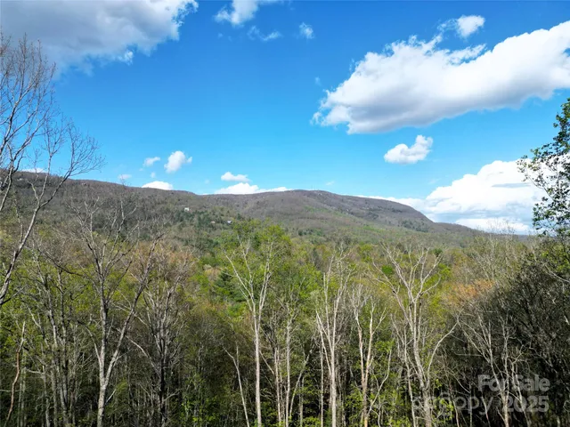 a view of a city with lush green forest