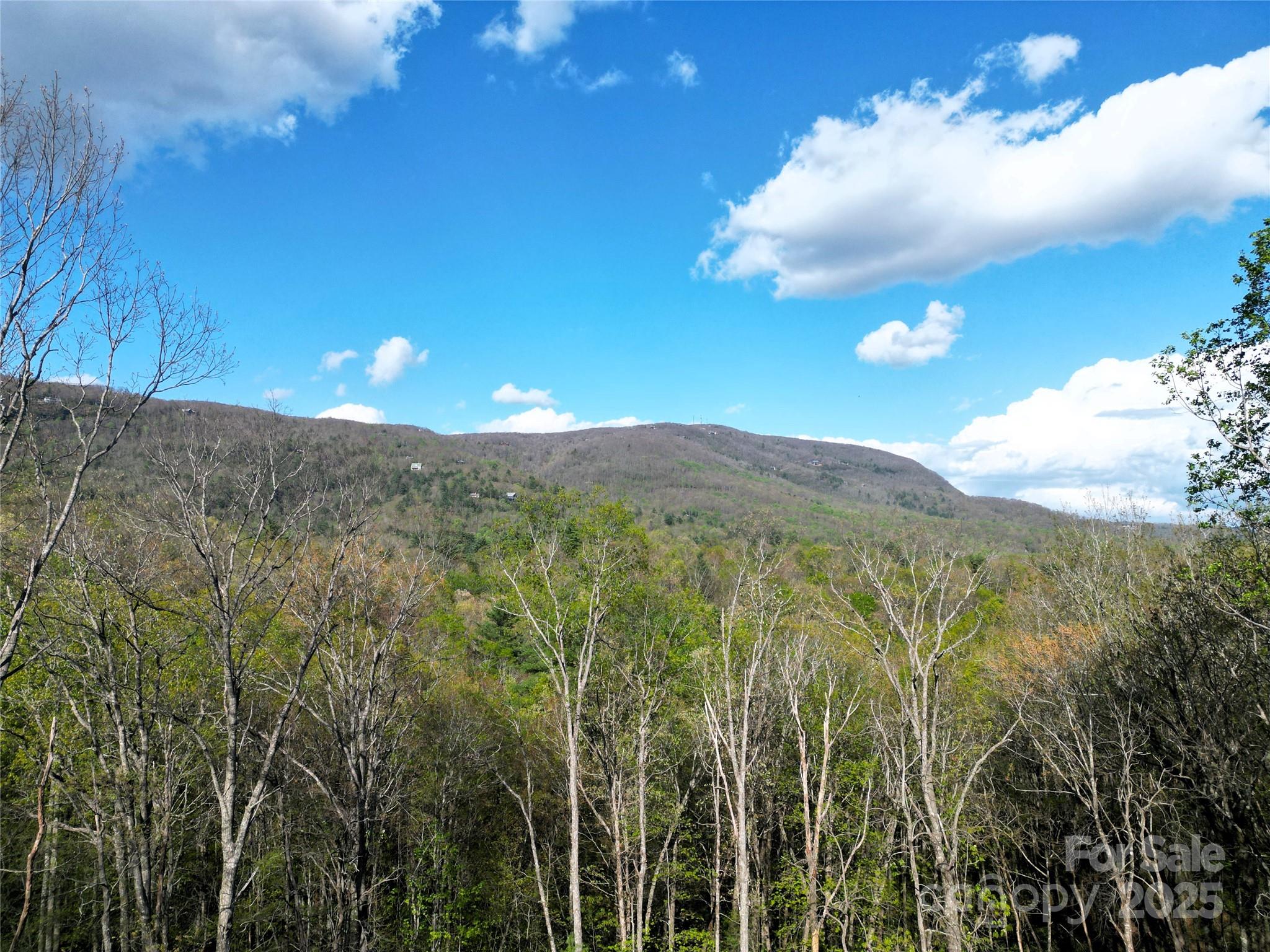 297 Easy Springs Road Sapphire, NC 28774 - Photo 1 of 34 a view of a city with lush green forest