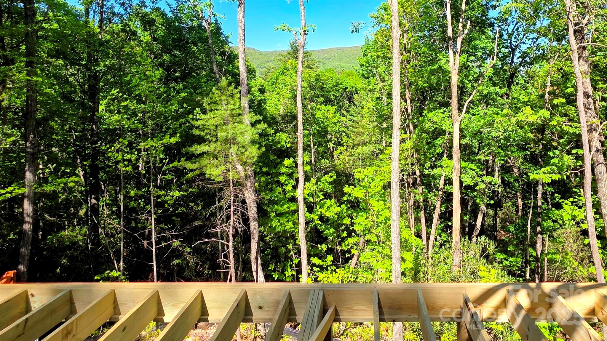 297 Easy Springs Road Sapphire, NC 28774 - Photo 11 of 34 a view of a garden