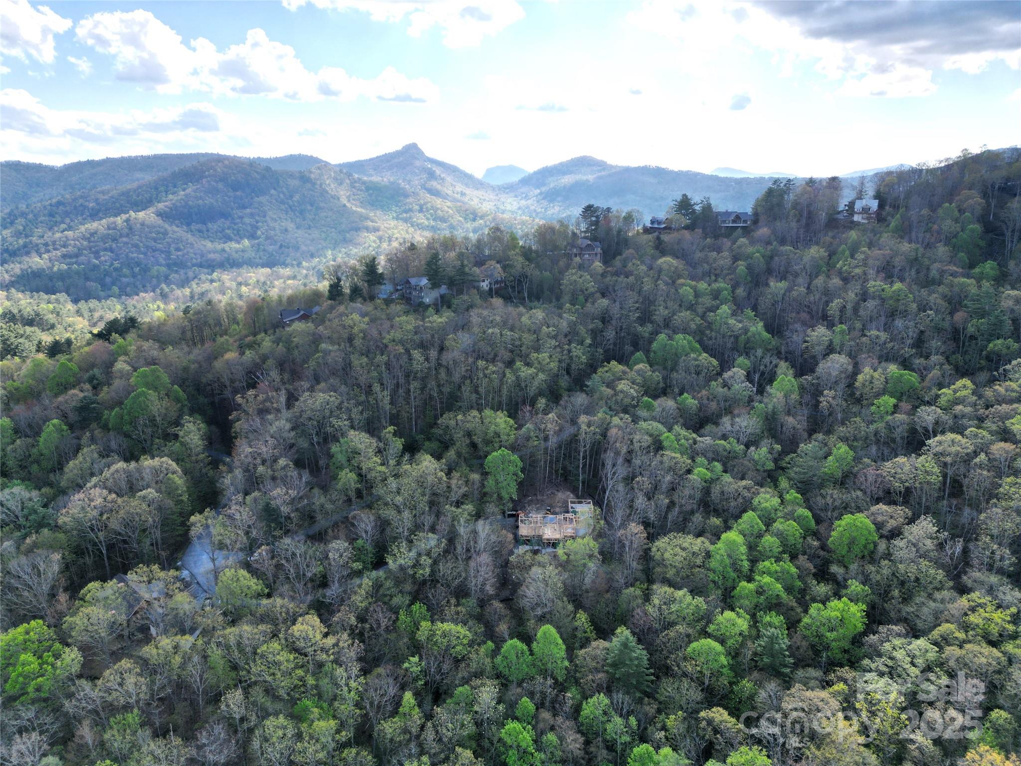297 Easy Springs Road Sapphire, NC 28774 - Photo 3 of 34 a view of a mountain range with lush green forest