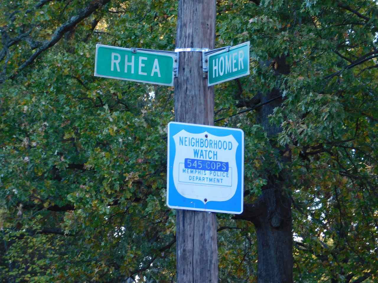 3618 Rhea Avenue Memphis, TN 38122 - Photo 3 of 5