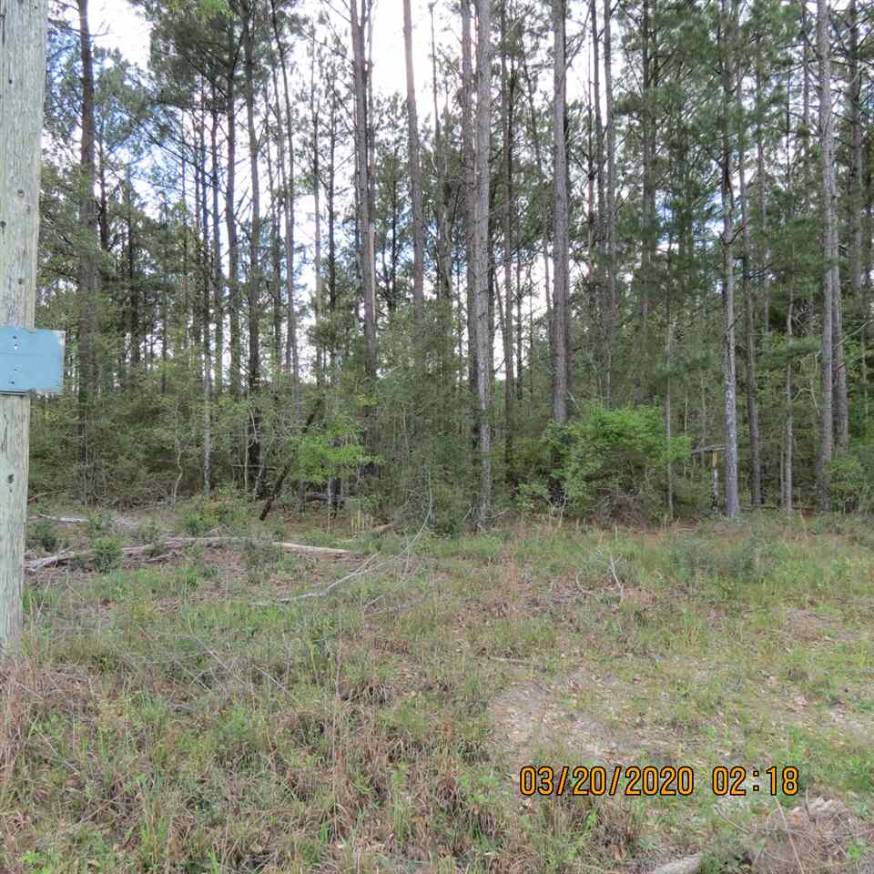 0 Potter Road Andalusia, AL 36421 - Photo 10 of 12 Gallery Image 10