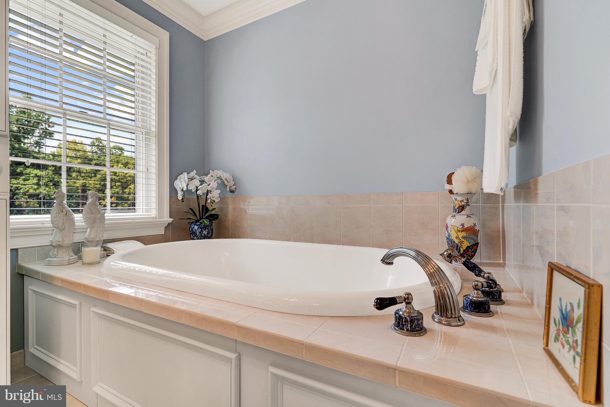 20082 Unison Road Round Hill, VA 20141 - Photo 18 of 29 Soaking Spa Tub in Master Bath