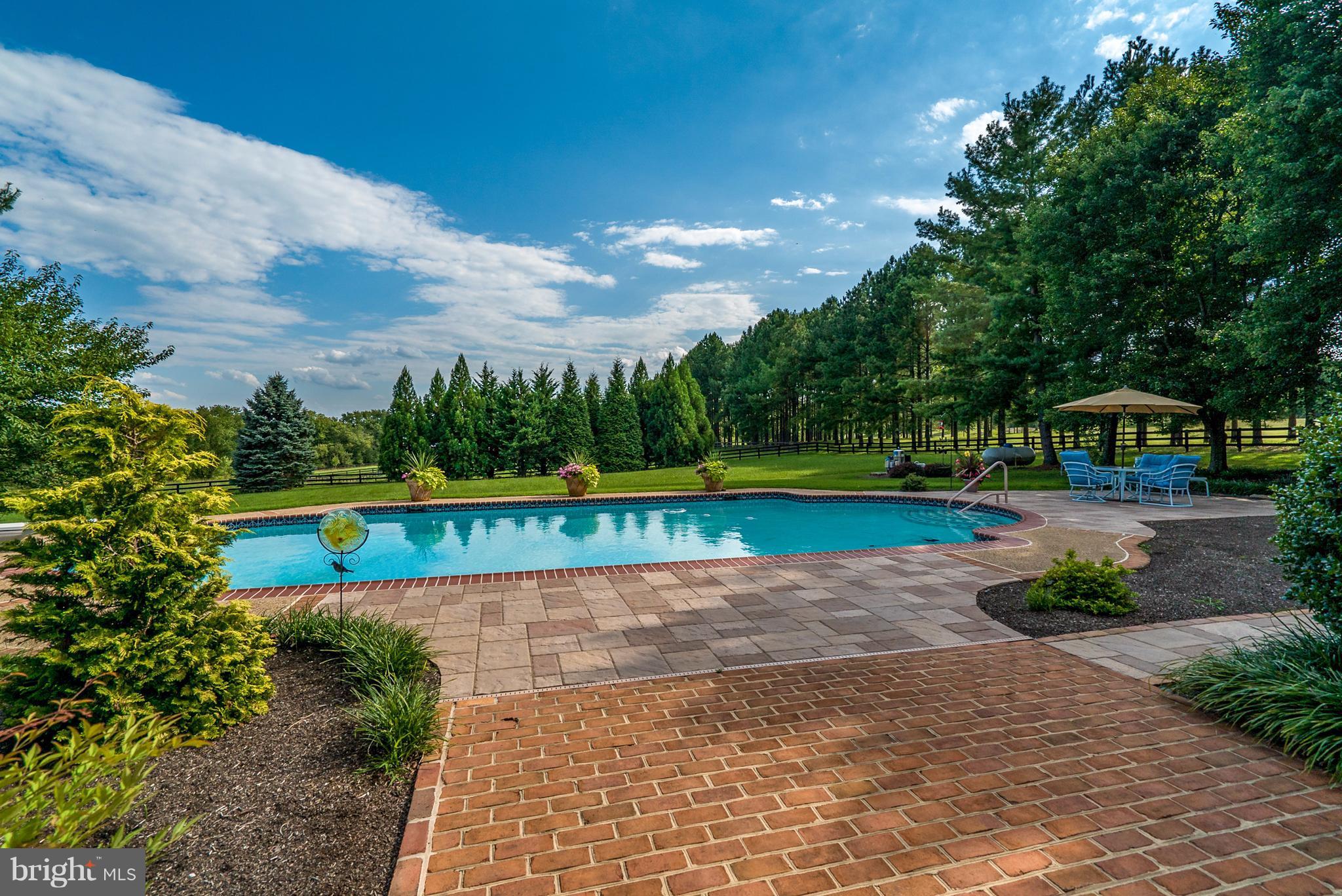 20082 Unison Road Round Hill, VA 20141 - Photo 3 of 29 View to the Pool
