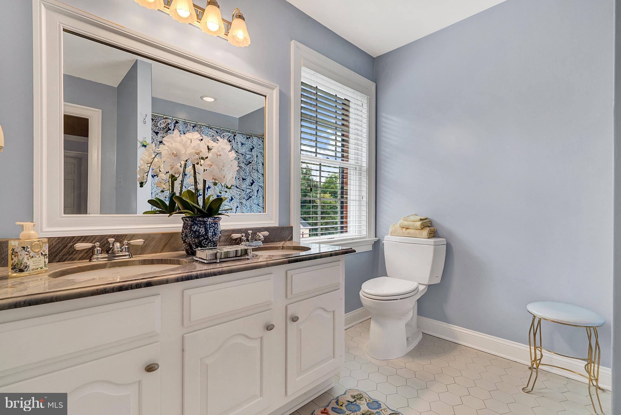 20082 Unison Road Round Hill, VA 20141 - Photo 23 of 29 Hall Bath with Double Vanities and Tub/Shower