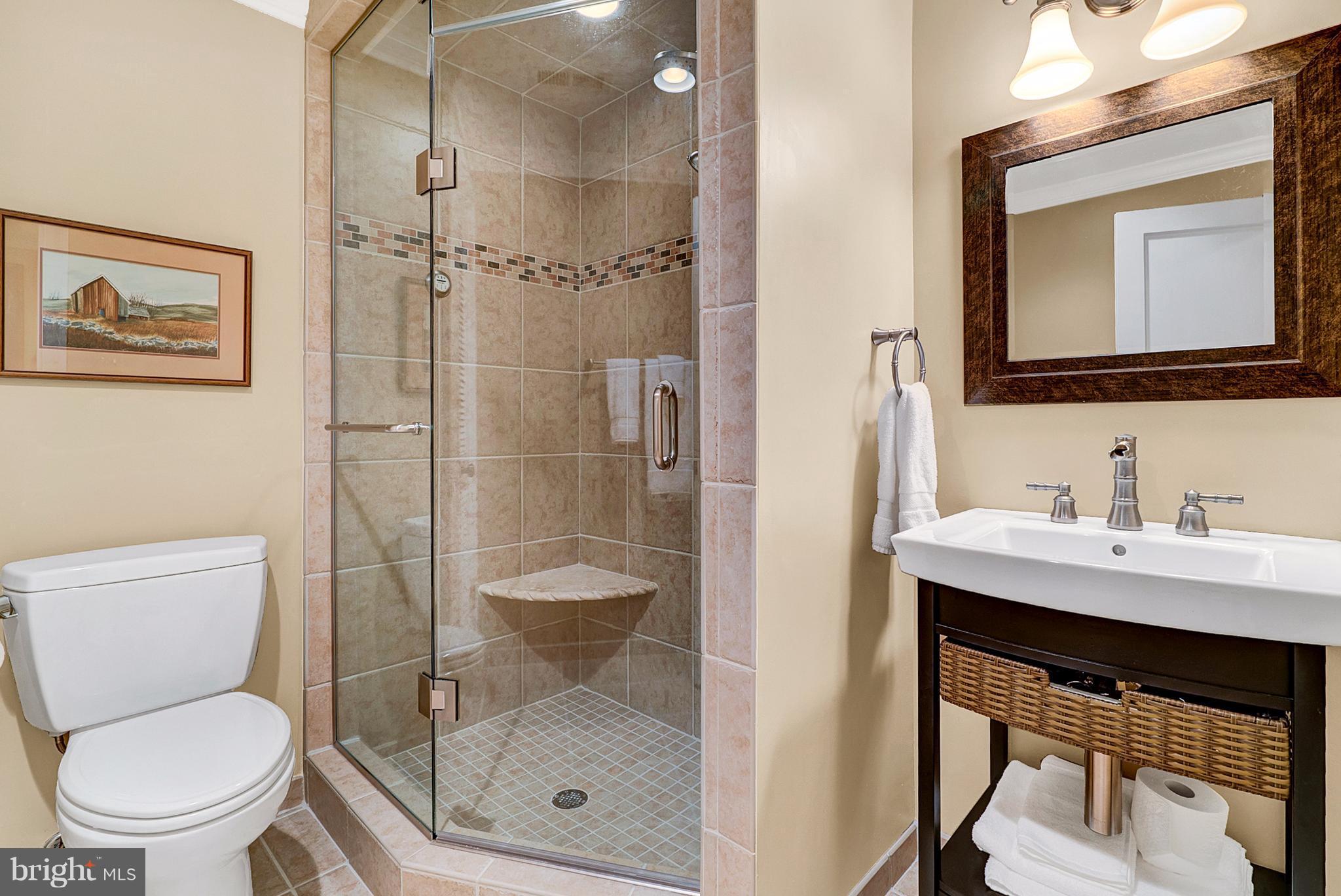 20082 Unison Road Round Hill, VA 20141 - Photo 26 of 29 Bath with Steam Shower