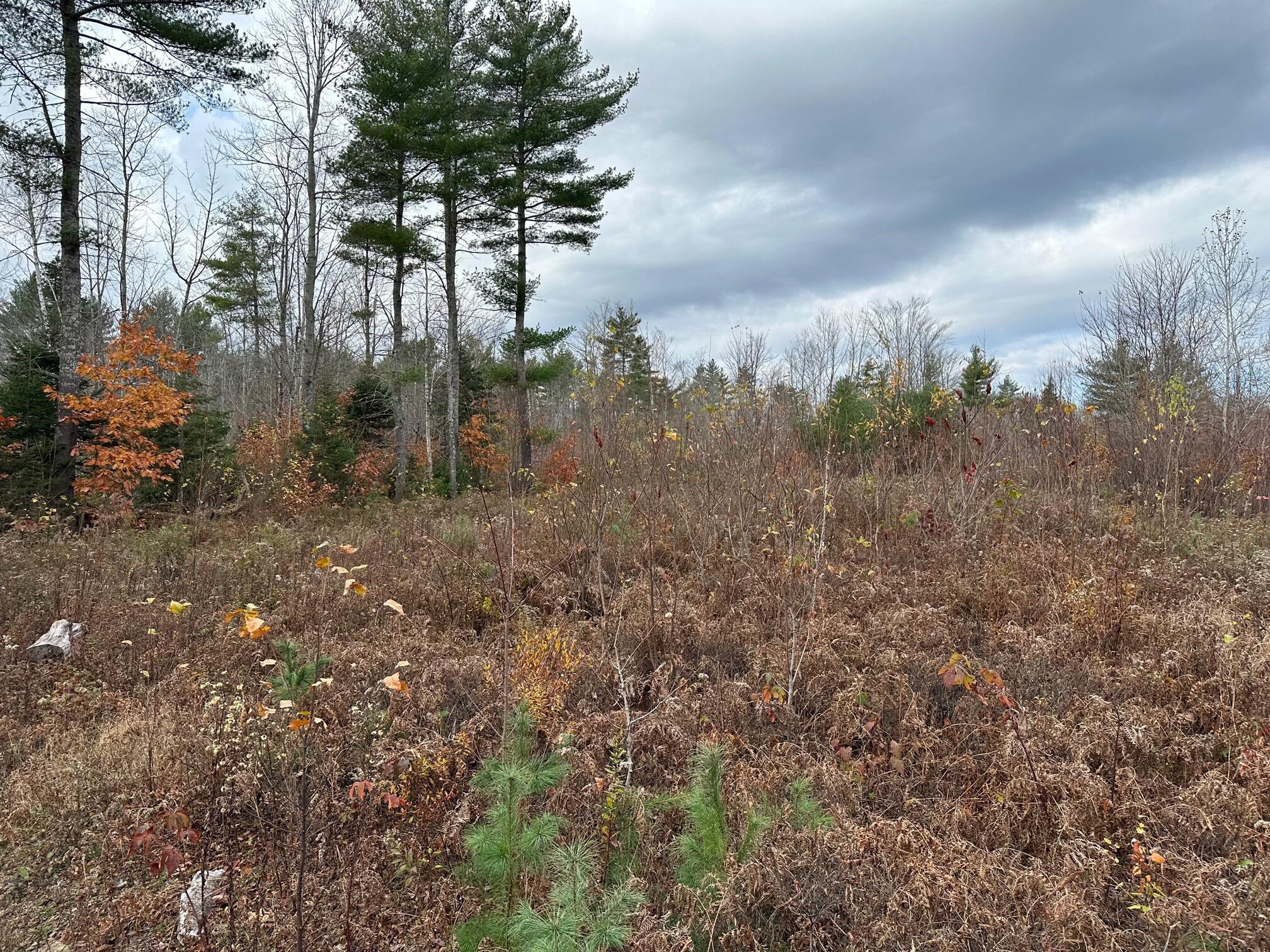446 Beans Corner Road New Sharon, ME 04955 - Photo 14 of 18 IMG_4230