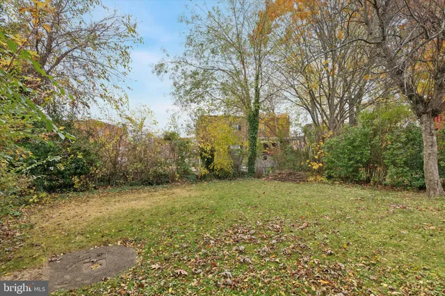 a view of a field with trees in the background