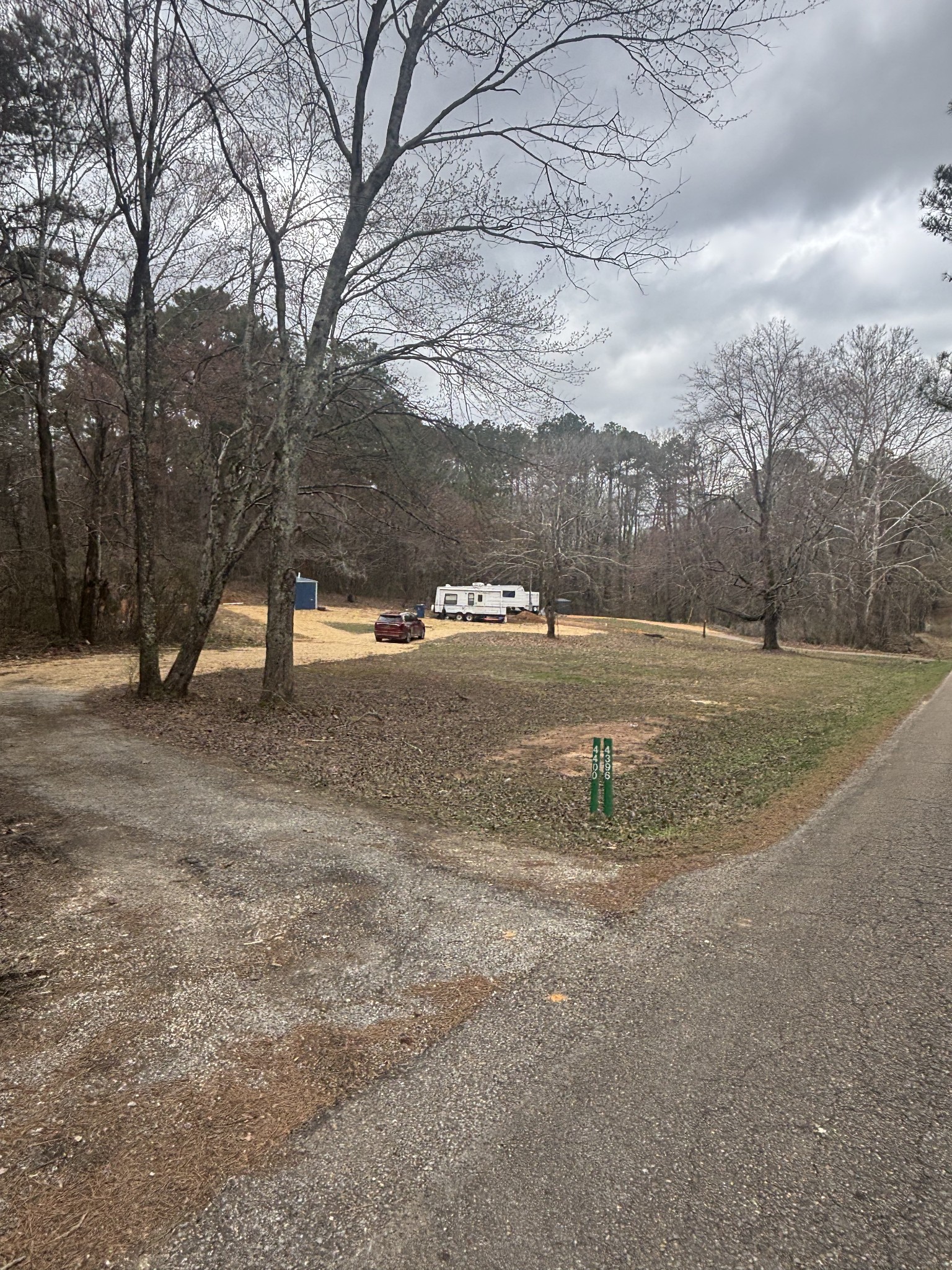 a view of dirt field with large trees