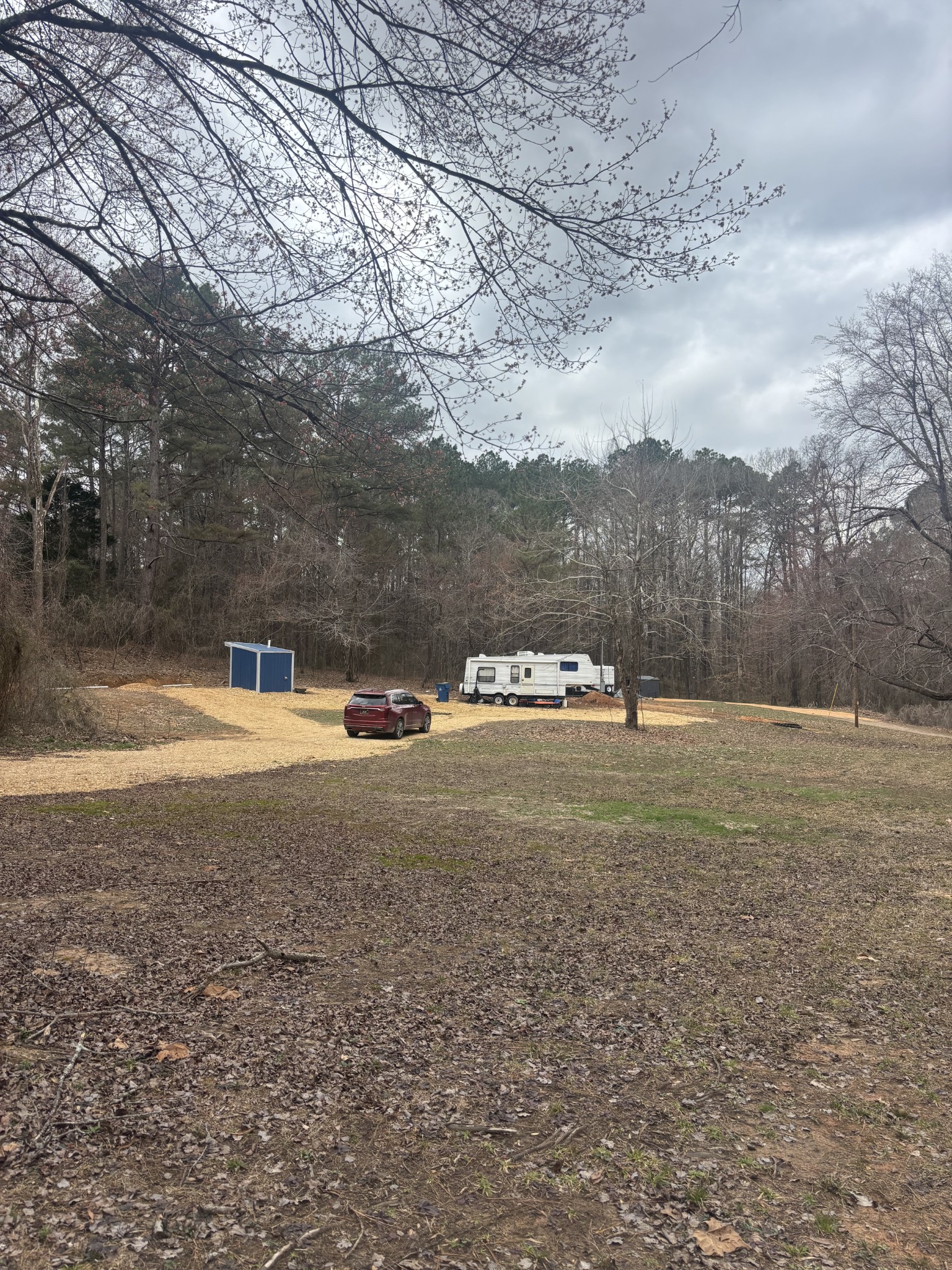 4390 Vale McKenzie Road Bruceton, TN 38317 - Photo 2 of 14 a view of dirt field with large trees