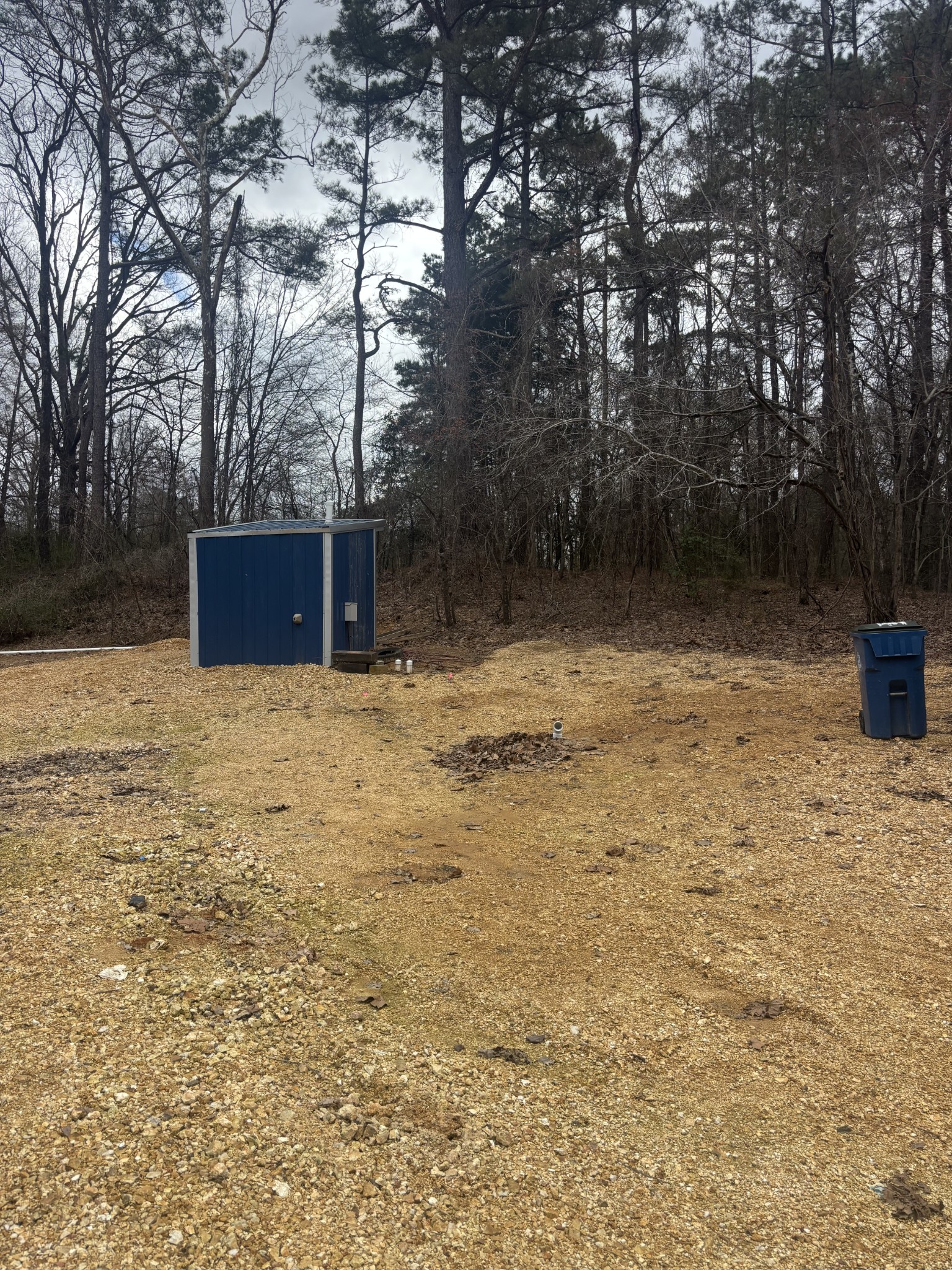 4390 Vale McKenzie Road Bruceton, TN 38317 - Photo 6 of 14 a view of a yard