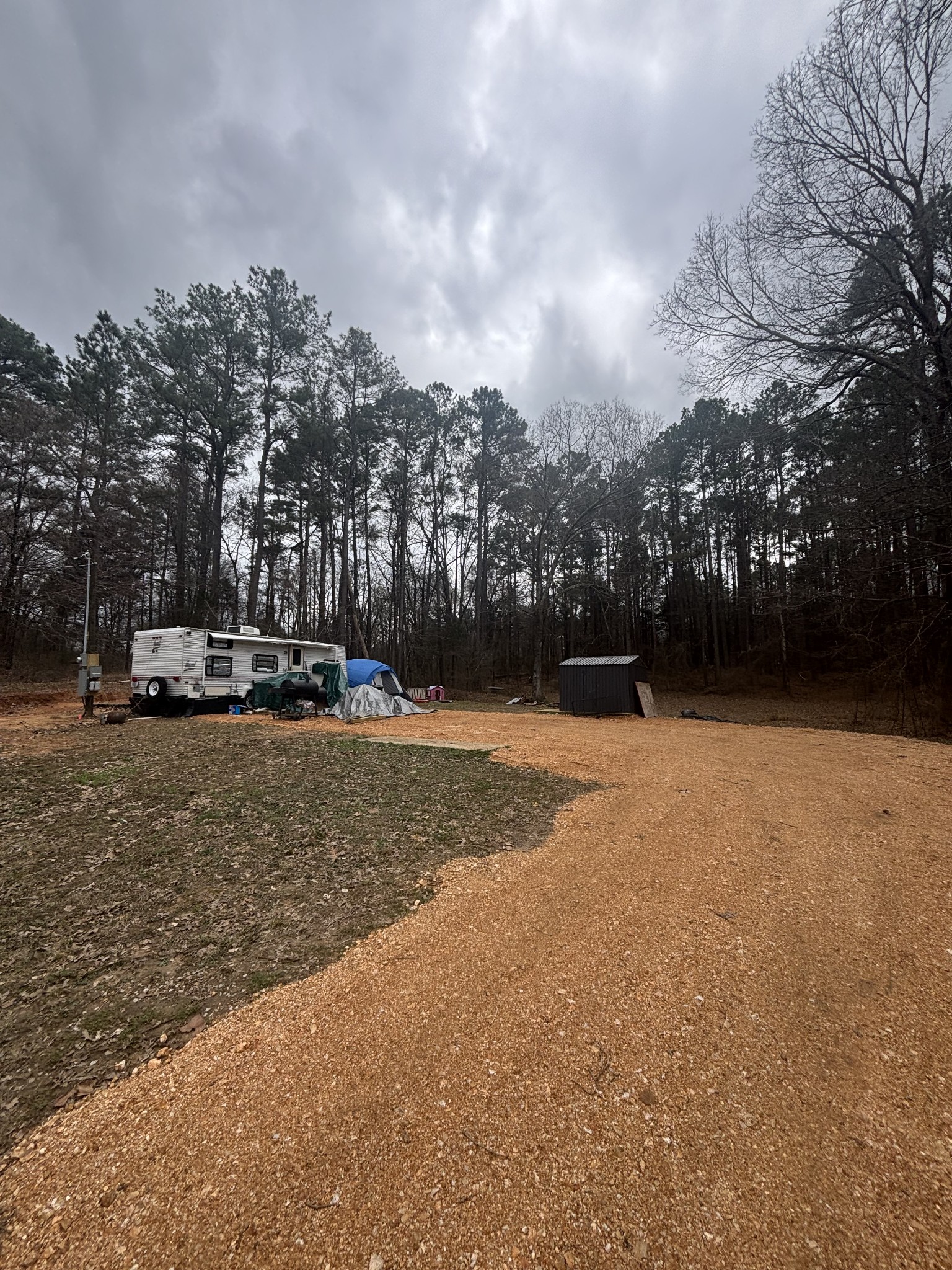4390 Vale McKenzie Road Bruceton, TN 38317 - Photo 9 of 14 a view of road with trees