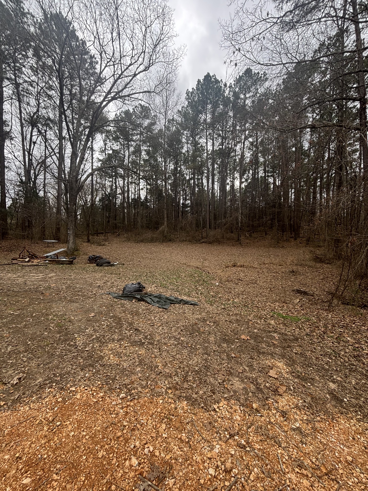 4390 Vale McKenzie Road Bruceton, TN 38317 - Photo 10 of 14 a view of a yard with trees