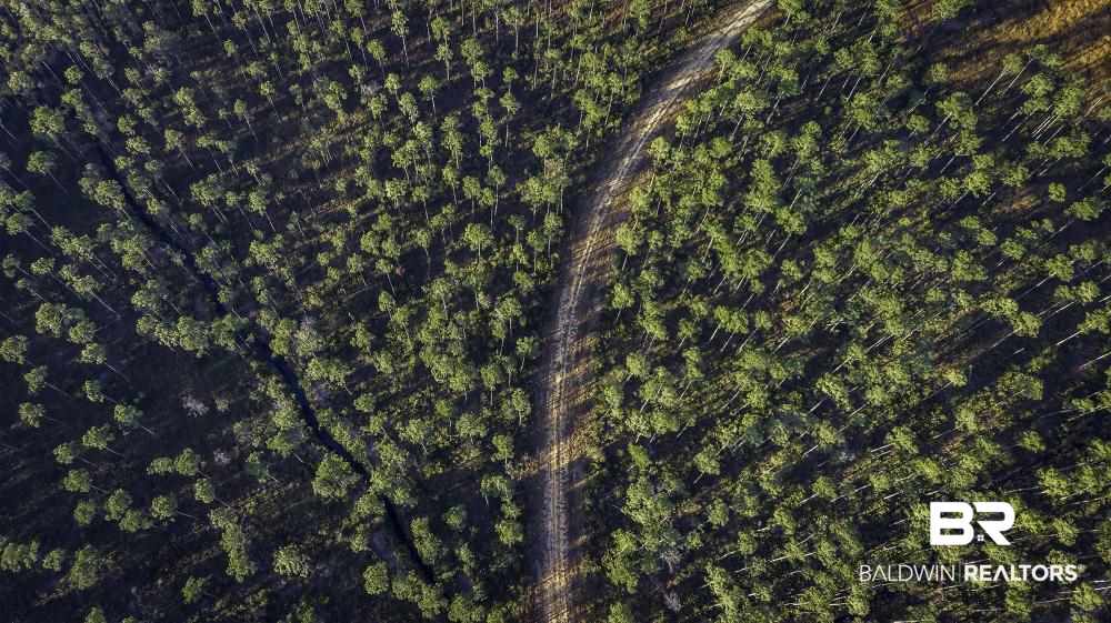 0 Three 3 Rivers Road Seminole, AL 36574 - Photo 2 of 27