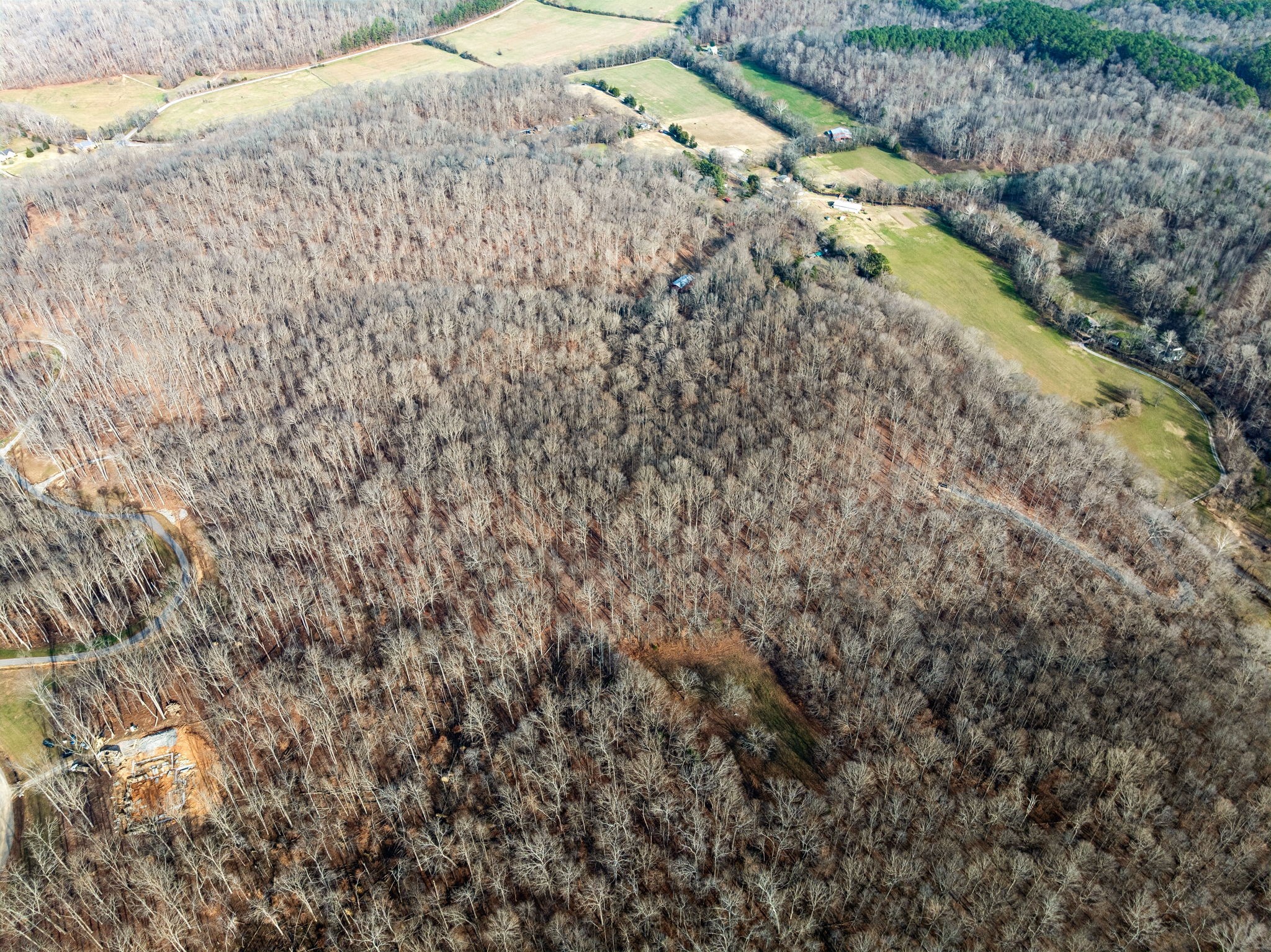 2 Peach Hollow Road Franklin, TN 37064 - Photo 16 of 19 Gallery Image 16