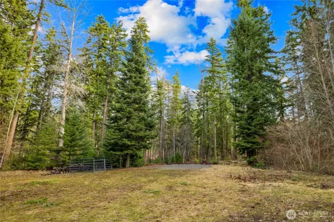 a view of a yard with trees
