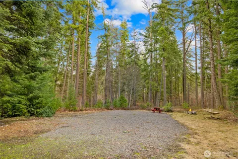 a view of backyard with large trees