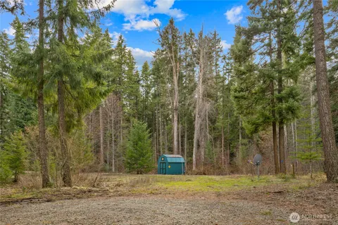 a view of a yard with trees