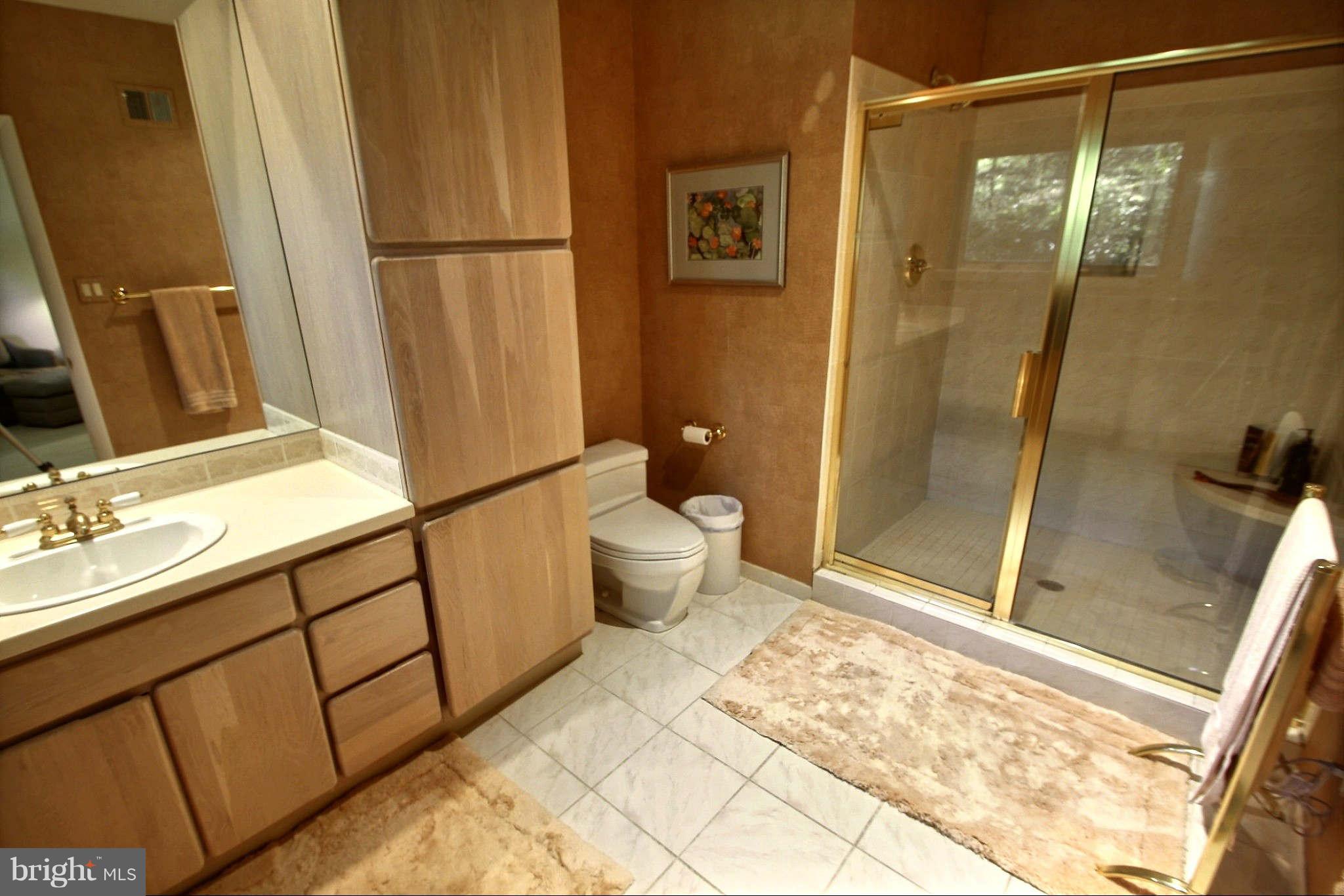 9410 Persimmon Tree Road Potomac, MD 20854 - Photo 19 of 30 Master Bathroom