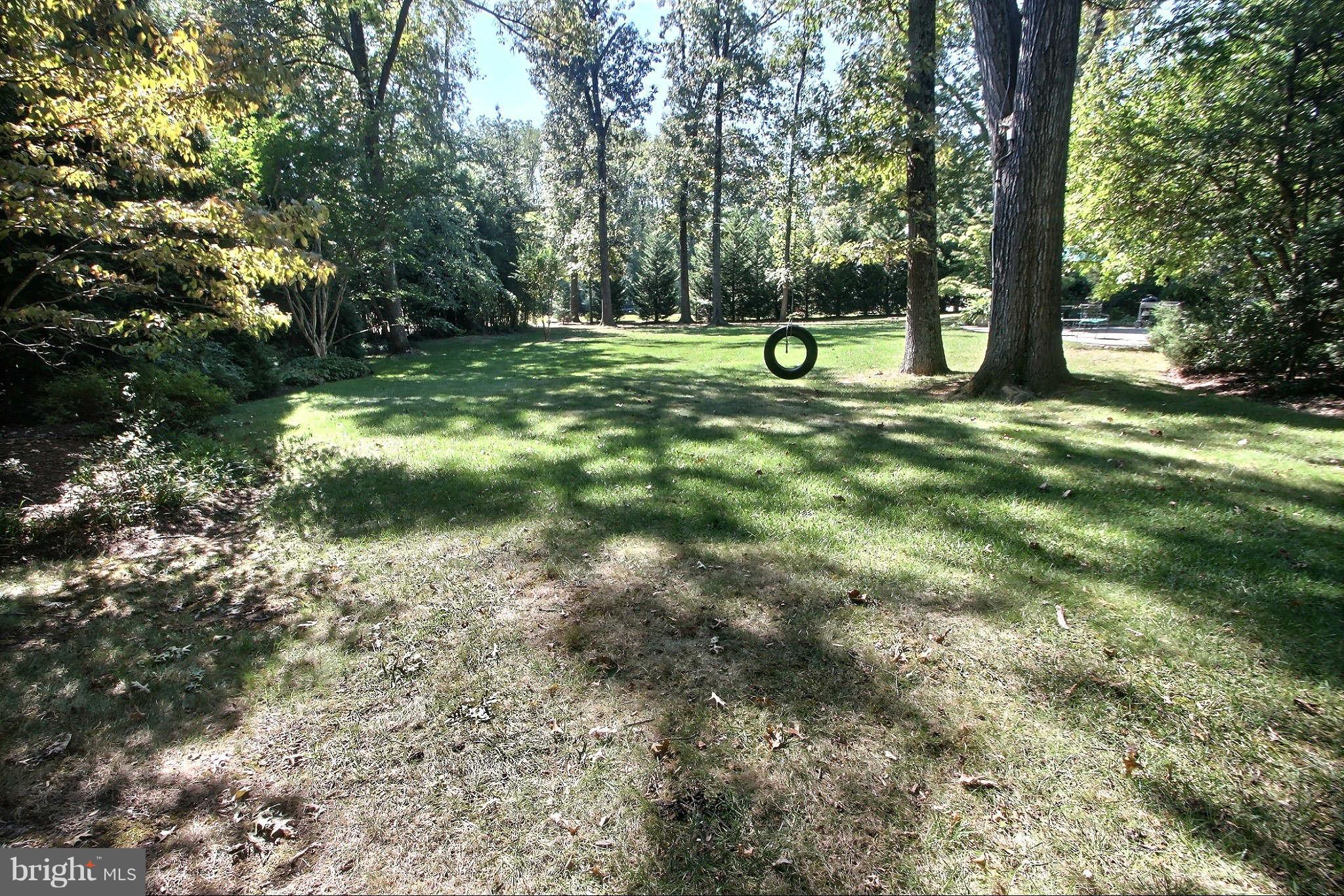 9410 Persimmon Tree Road Potomac, MD 20854 - Photo 27 of 30 Backyard