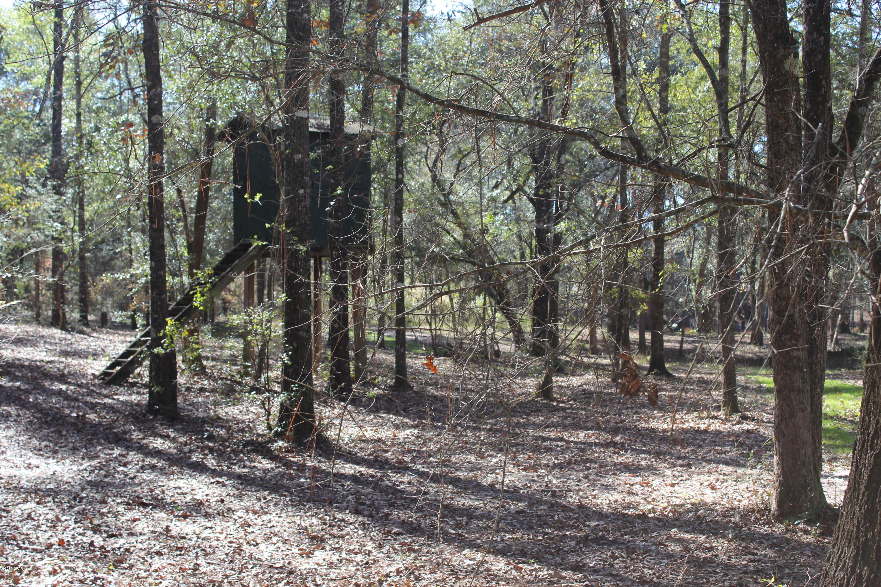 5031 Creek Road Vernon, FL 32462 - Photo 34 of 37 Gallery Image 34