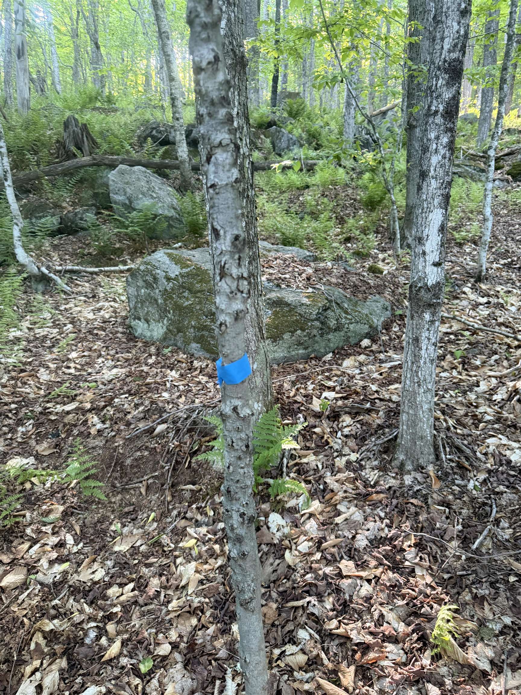 Scattered Timber Road Wilmington, VT 05363 - Photo 20 of 24