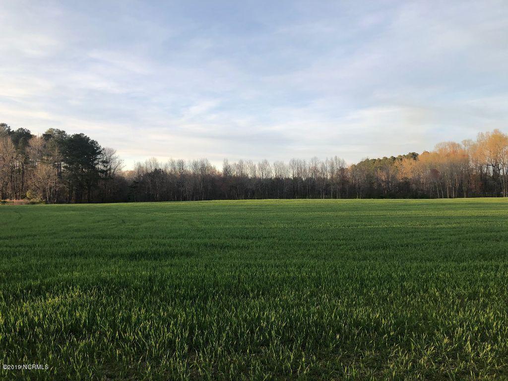 6775 Reedy Branch Road Rocky Mount, NC 27803 - Photo 3 of 18 skyline