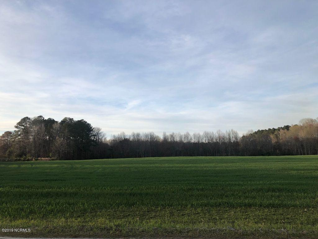 6775 Reedy Branch Road Rocky Mount, NC 27803 - Photo 5 of 18 skyline
