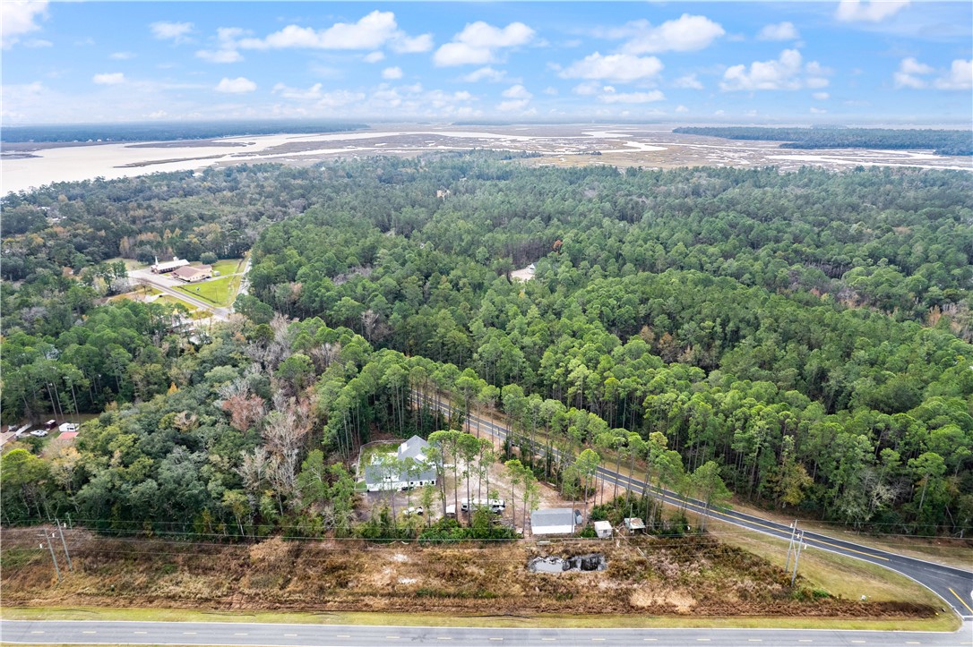 7079 Harrietts Bluff Road Woodbine, GA 31569 - Photo 61 of 62