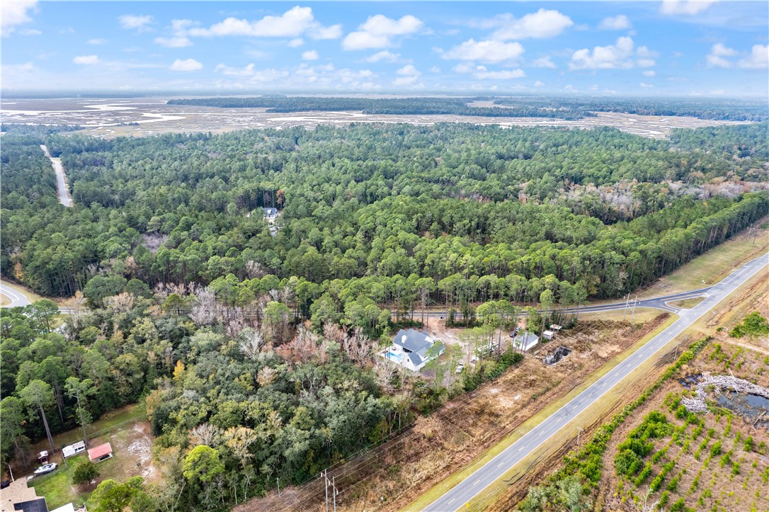 7079 Harrietts Bluff Road Woodbine, GA 31569 - Photo 62 of 62