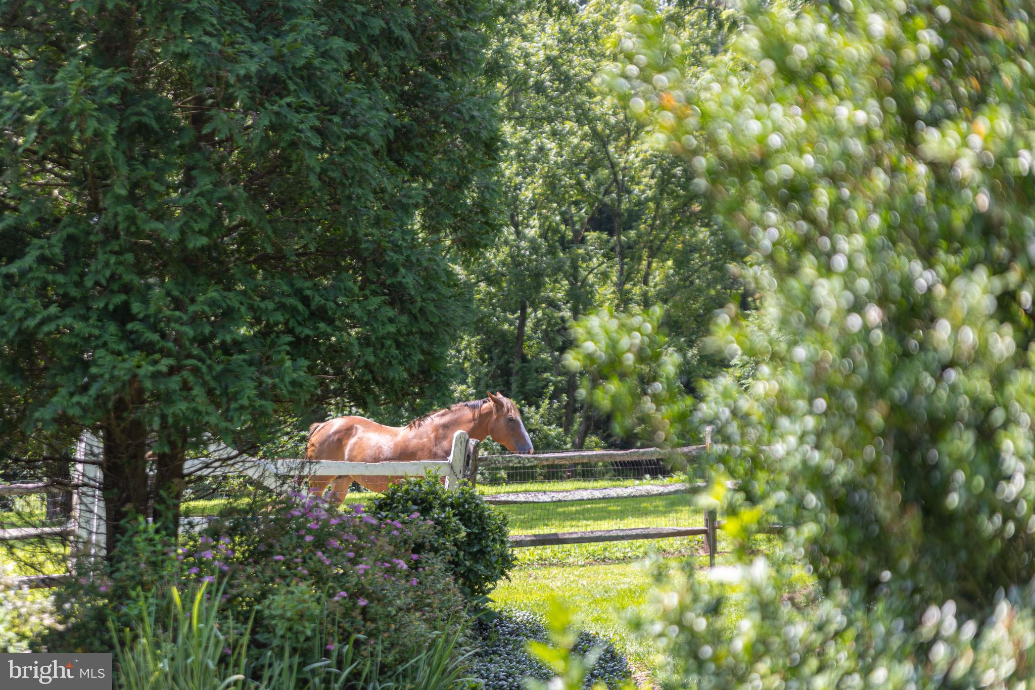 62 Thompson Mill Road Newtown, PA 18940 - Photo 42 of 62