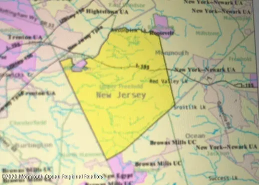 a picture of white wall with a plants