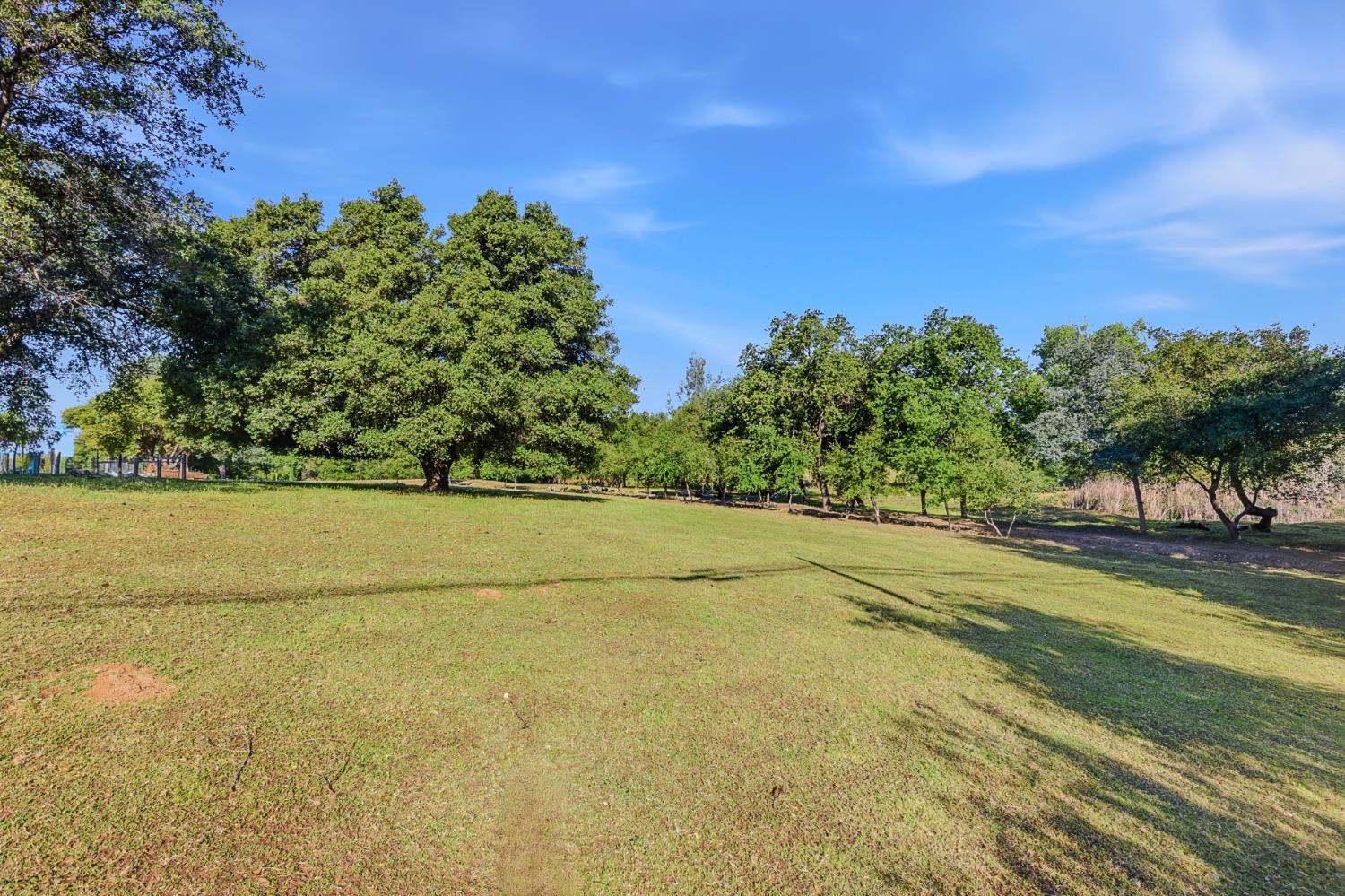 3117 Garden Bar Road Lincoln, CA 95648 - Photo 33 of 41