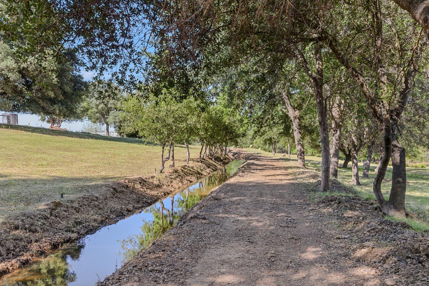 3117 Garden Bar Road Lincoln, CA 95648 - Photo 35 of 41