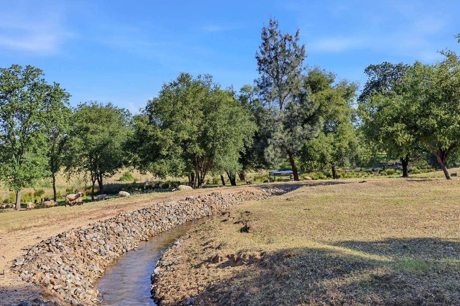 3117 Garden Bar Road Lincoln, CA 95648 - Photo 38 of 41