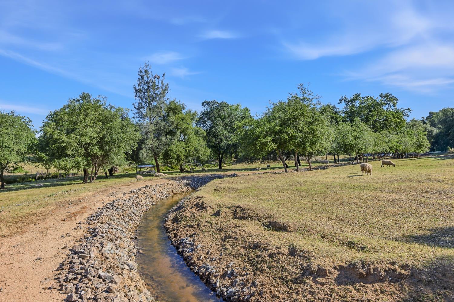 3117 Garden Bar Road Lincoln, CA 95648 - Photo 39 of 41