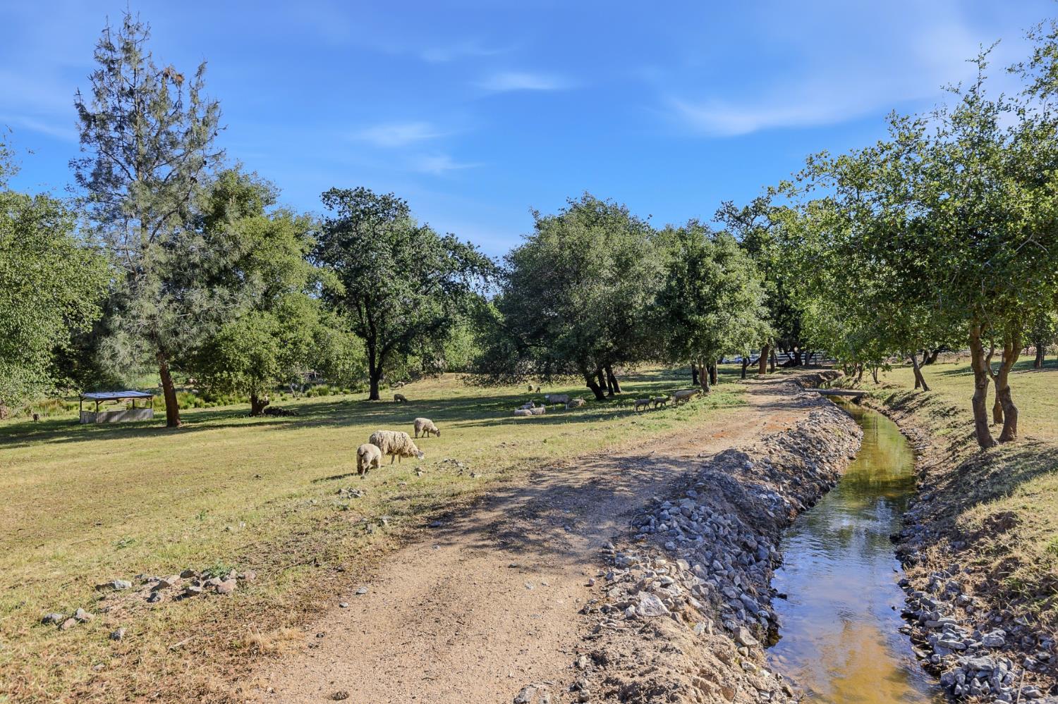 3117 Garden Bar Road Lincoln, CA 95648 - Photo 40 of 41