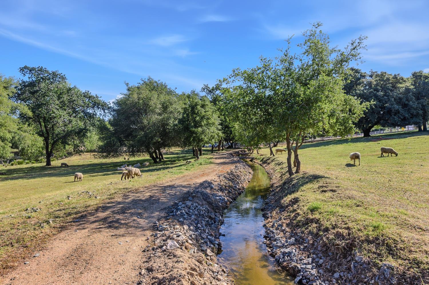 3117 Garden Bar Road Lincoln, CA 95648 - Photo 41 of 41